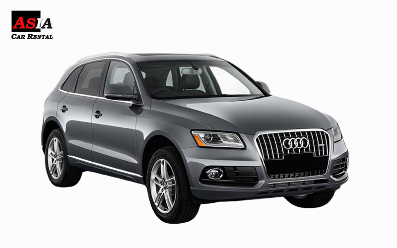 Gray audi Q5