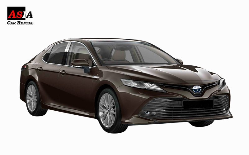 Dark brown toyota camry